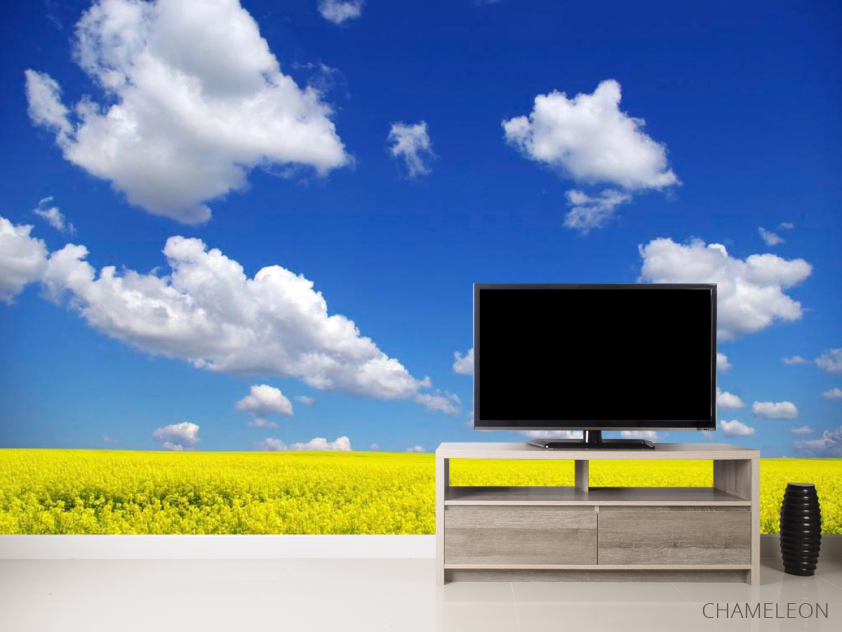 Фотообои Цвет и небо - 2