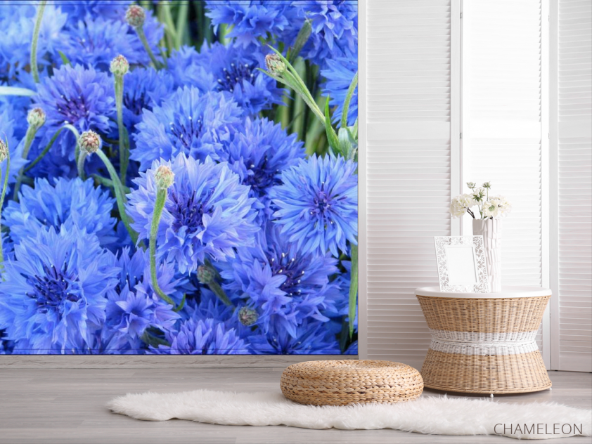 Фотошпалери Блакитні волошки - 2