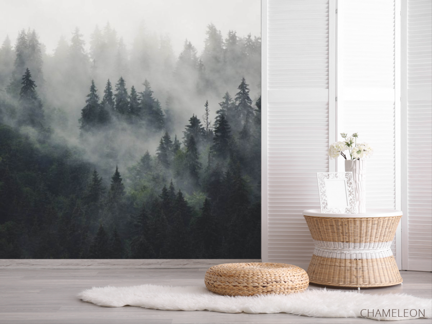 Фотошпалери Туманний ліс - 2