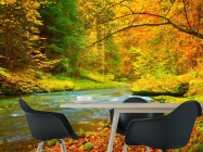 Фотошпалери яскравий осінній ліс - 1