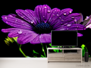 Фотообои Фиолетовый цветок - 2