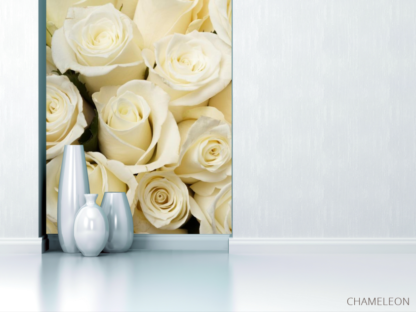 Фотообои белые розы - 1