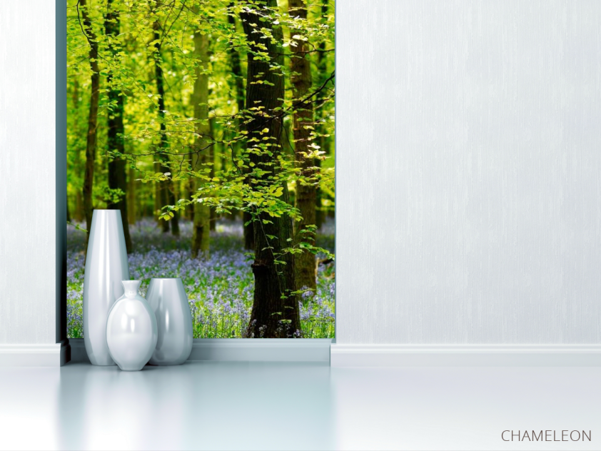 Фотообои В лесу, цветы - 1