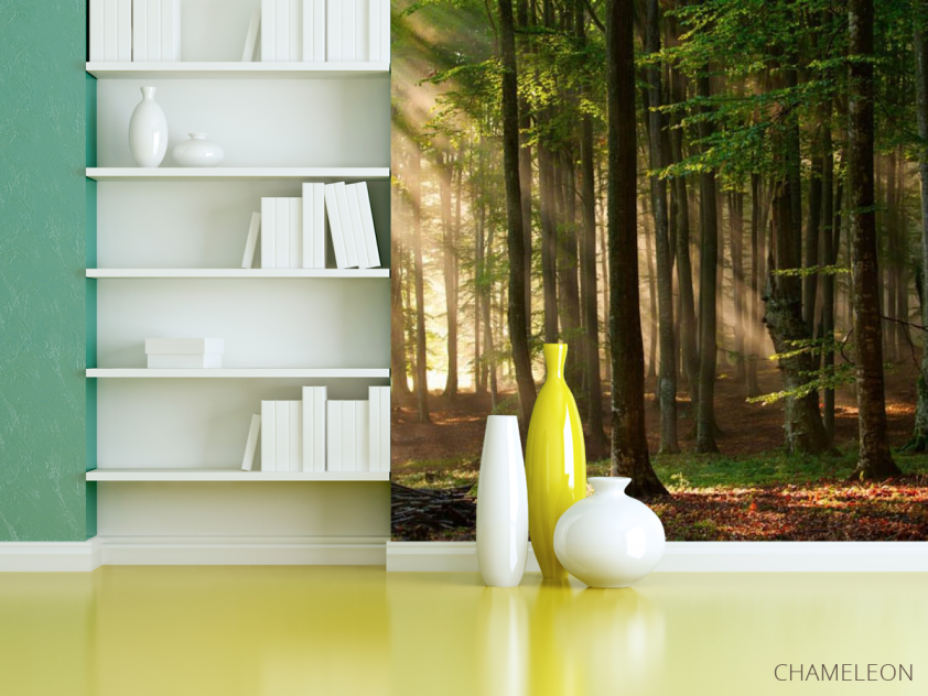 Фотошпалери Дерева - 3