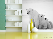 Фотошпалери Полярні ведмеді - 3