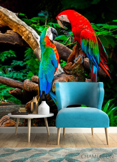 Фотообои Попугаи - 4