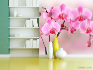 Фотошпалери Орхідеї рожевих тонів - 3