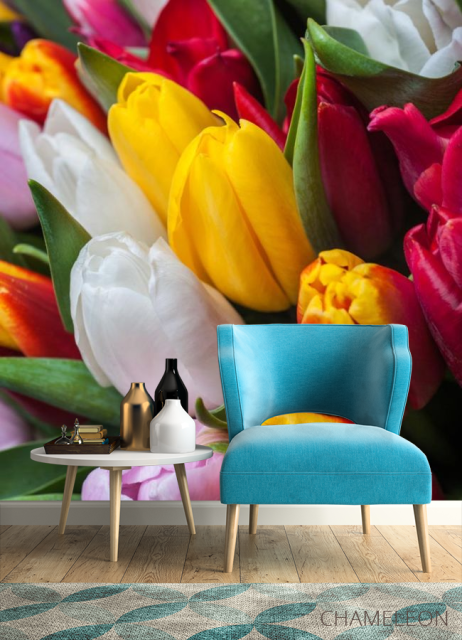 Фотообои тюльпаны яркие - 4