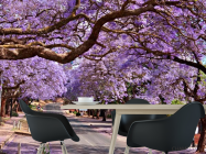 Фотошпалери Колір, дорога - 1