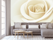 Фотообои белая роза - 3