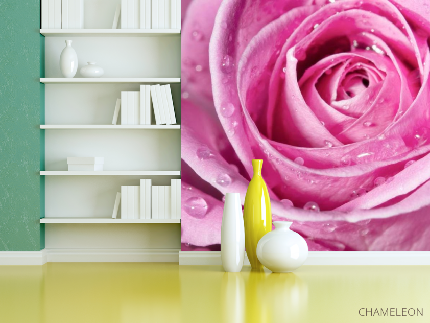 Фотошпалери Роса на розі - 3