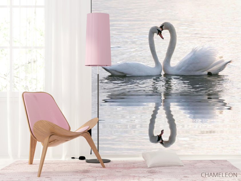 Фотообои Два лебедя - 4