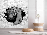 Фотошпалери Тигр із кам'яної стіни - 2