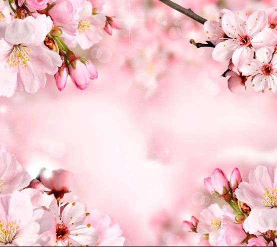 Фотообои Цветы Фотообои Цветы 20149