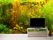 Фотообои аквариум - 2