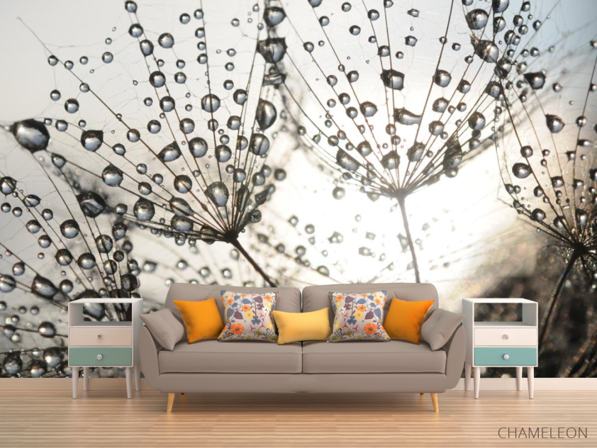 Фотообои капли и одуванчик - 1