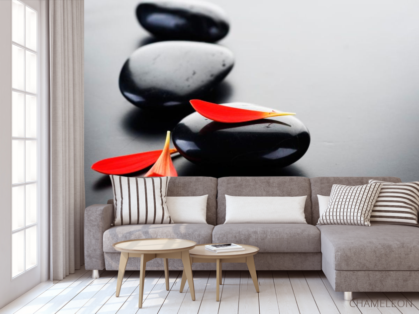 Фотообои Лепестки и камни - 3