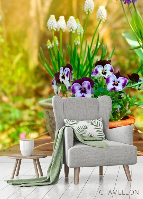 Фотообои Горшочек с фиалками - 3