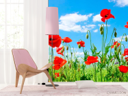 Фотошпалери Маки в степу - 4