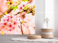Фотошпалери Суцвіття рожевих квітів - 2