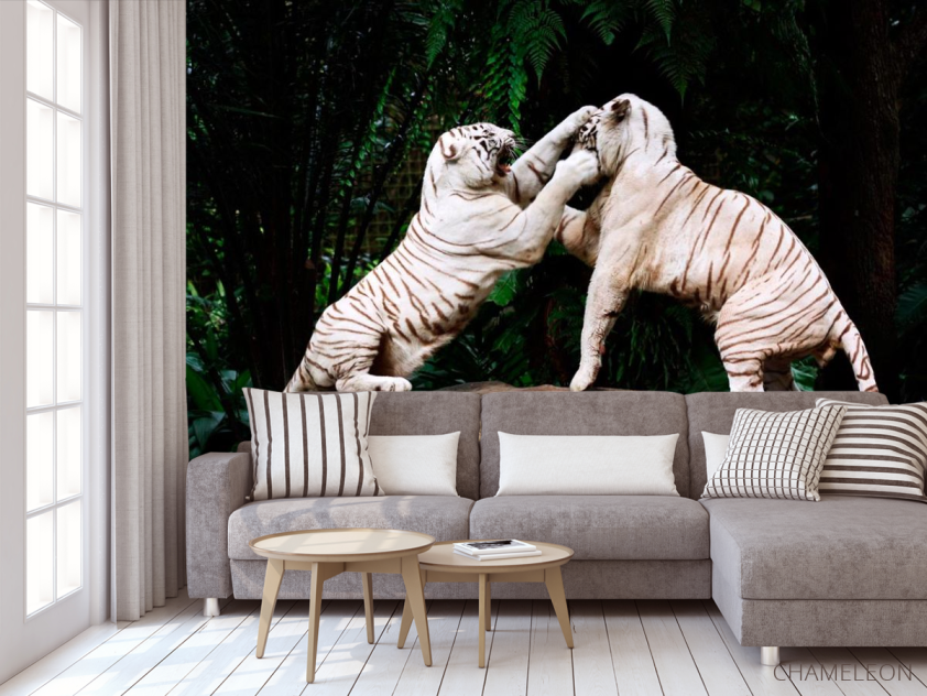 Фотообои Драка белых тигров - 3
