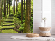 Фотошпалери зелені сходи в лісі - 2