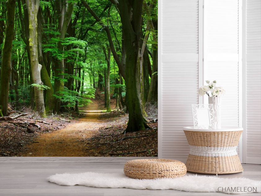 Фотообои дорога в темном лесу - 2