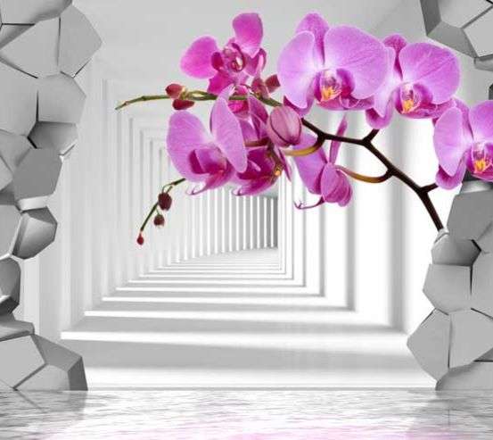 Фотообои 3D орхидея 17620
