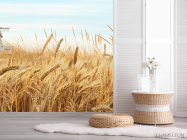 Фотошпалери Поле пшениці - 2