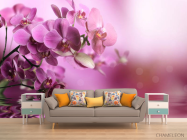 Фотообои орхидеи - 1