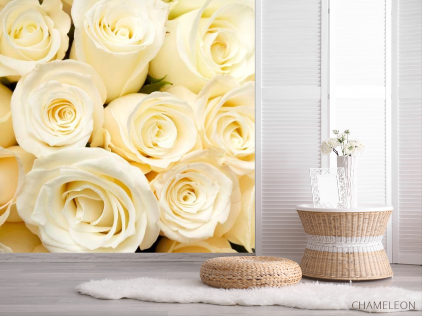 Фотошпалери Білосніжні троянди, букет - 2