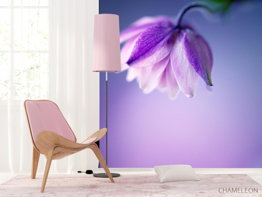 Фотошпалери бузковий квіточка на бузковому тлі - 4