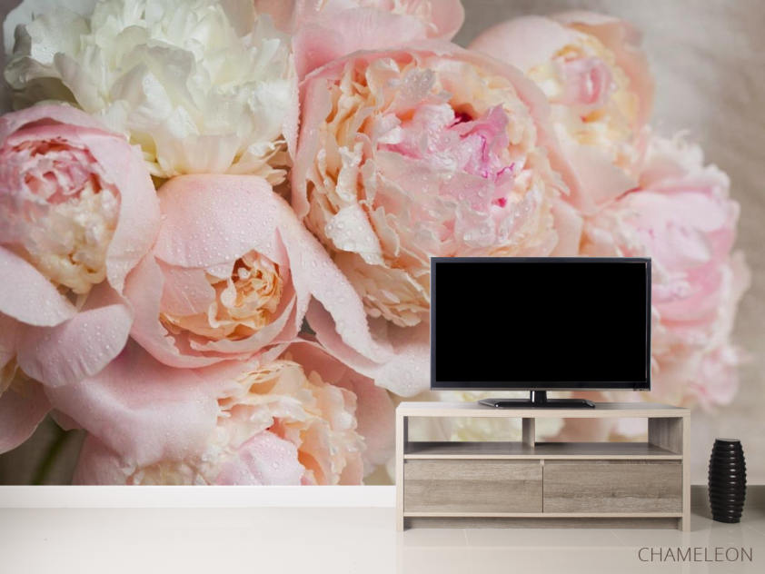 Фотообои нежные цветы с каплями - 2