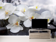 Фотообои белые орхидеи на черных камнях - 2