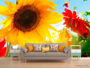 Фотообои Подсолнух и гербера - 1