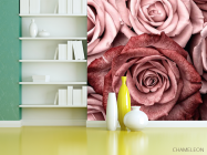 Фотошпалери троянди винного кольору - 3