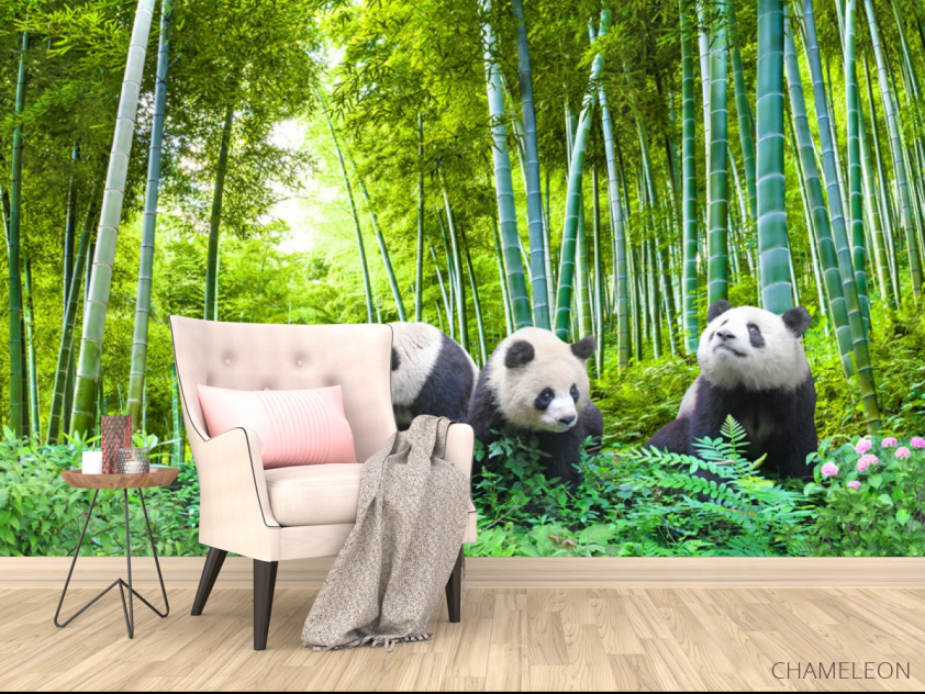 Фотообои Панды в бамбуке - 4