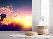 Фотошпалери кульбаба захід сонця - 2