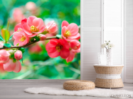 Фотошпалери Імбир кораловий - 2