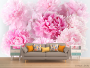 Фотообои Розовые пионы - 1