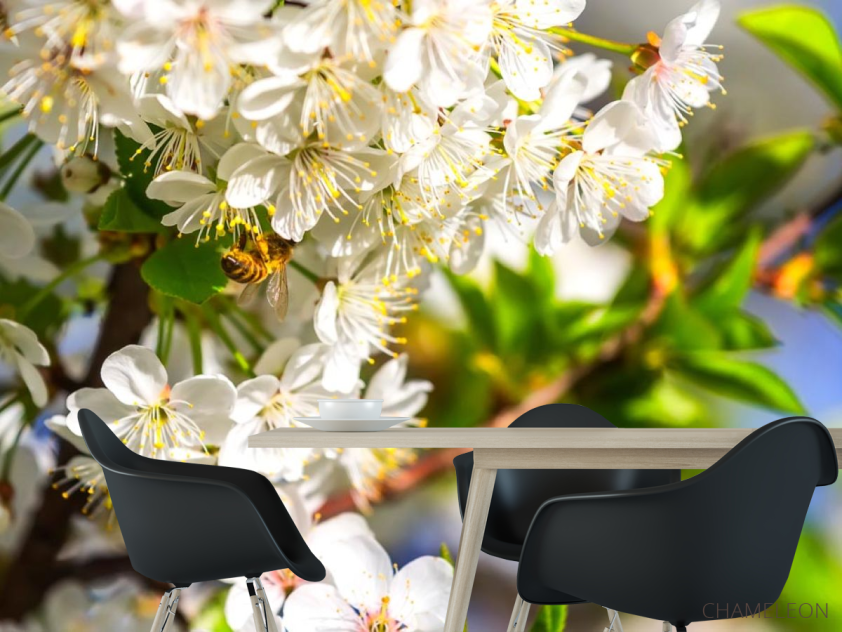 Фотошпалери бджола на квіточках - 1