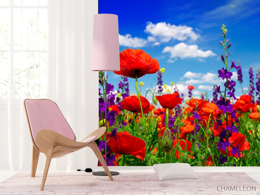 Фотошпалери Маки - 4