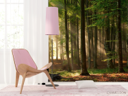 Фотошпалери Дерева - 4