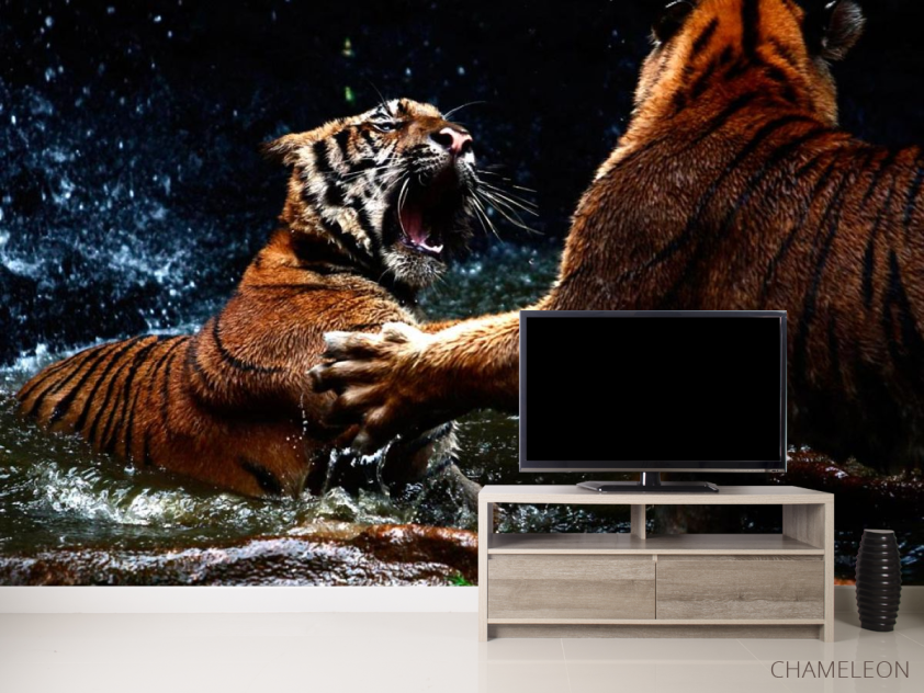 Фотообои Драка тигров - 2