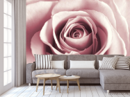Фотообои бутон розовой розы - 3