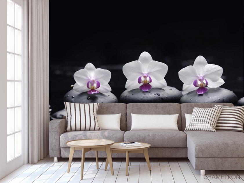 Фотообои белые орхидеи на черном фоне - 3
