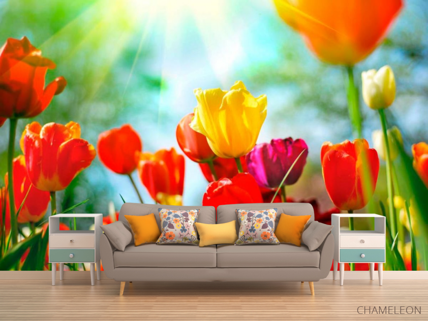 Фотообои Тюльпаны разноцветные - 1