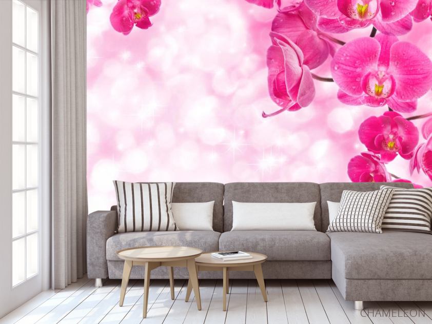 Фотообои Орхидеи розовые и вода - 3