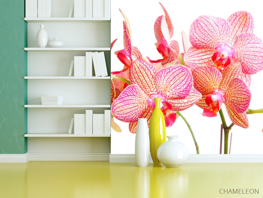 Фотошпалери Бежево-рожеві орхідеї - 3