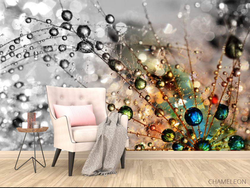 Фотообои Одуванчик с росой - 4